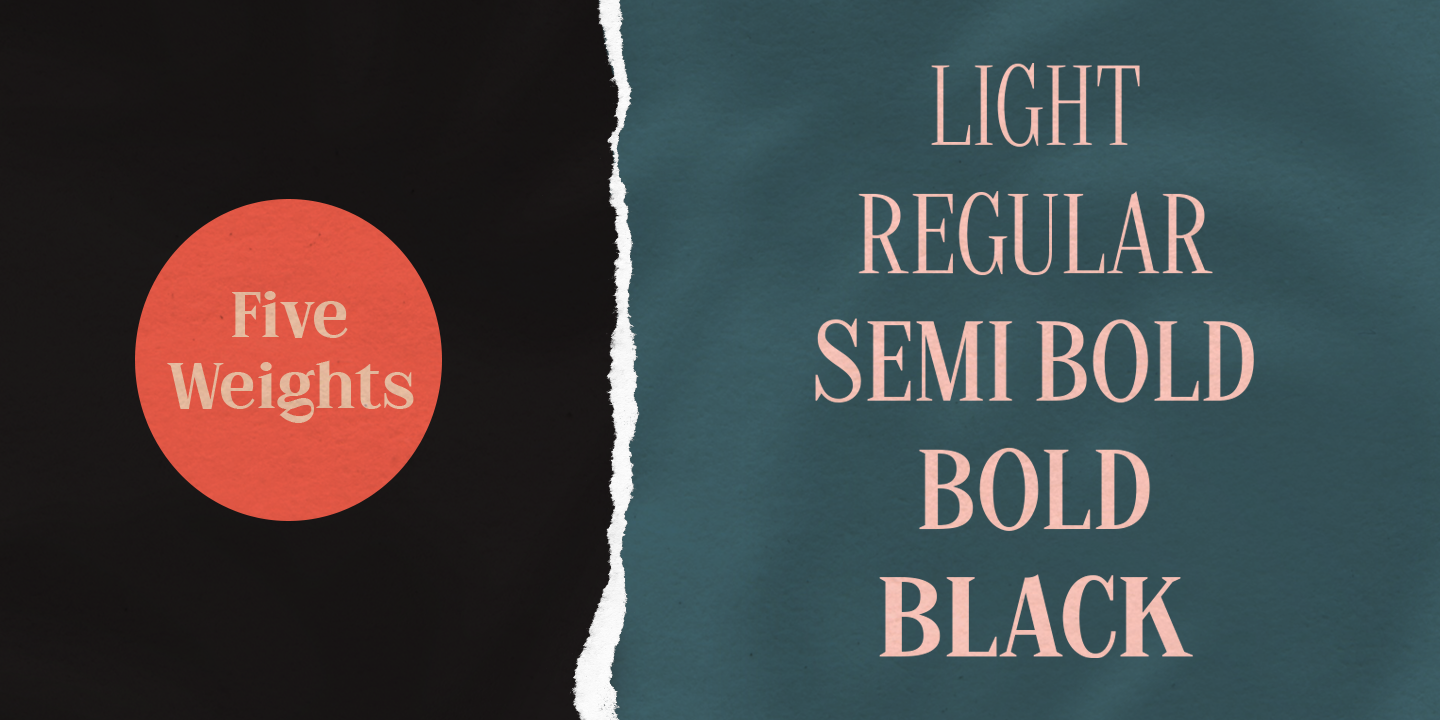 The Stegris Light Font preview